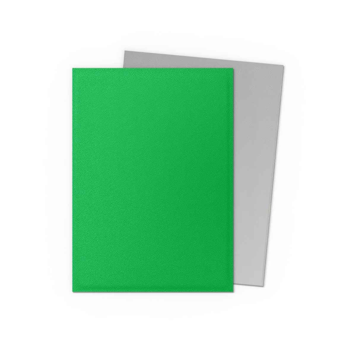 Dragon Shield Sleeves – Dual Matte Apple Green & Silver (100 Stück)