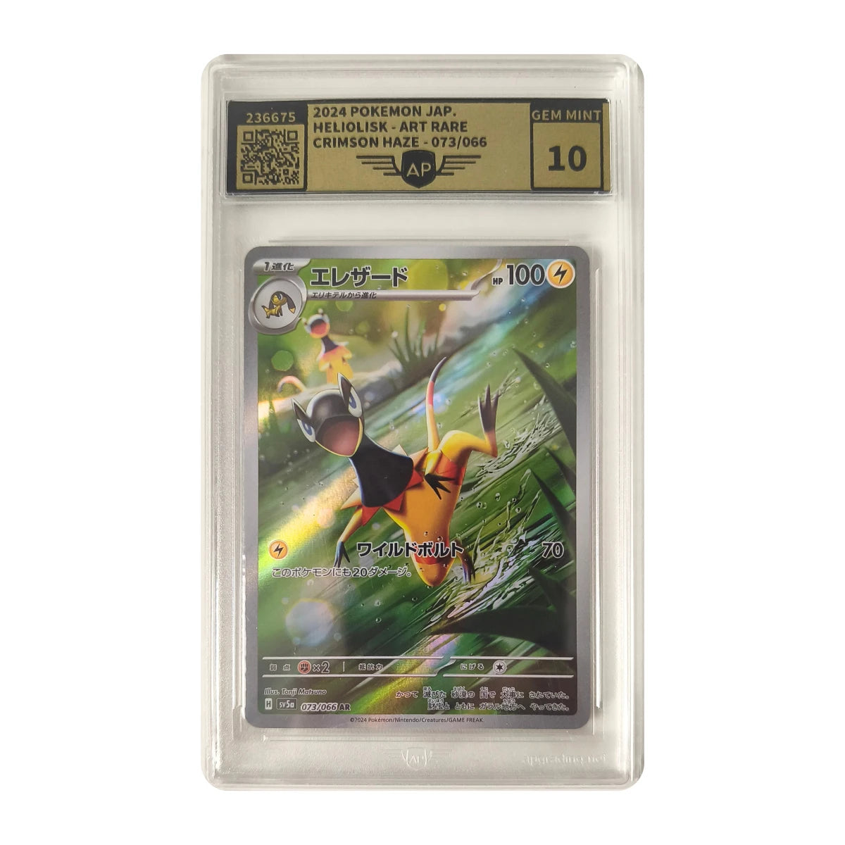 Pokémon - Heliolisk Art Rare #073/066 (Crimson Haze) – APG 10 Gem Mint