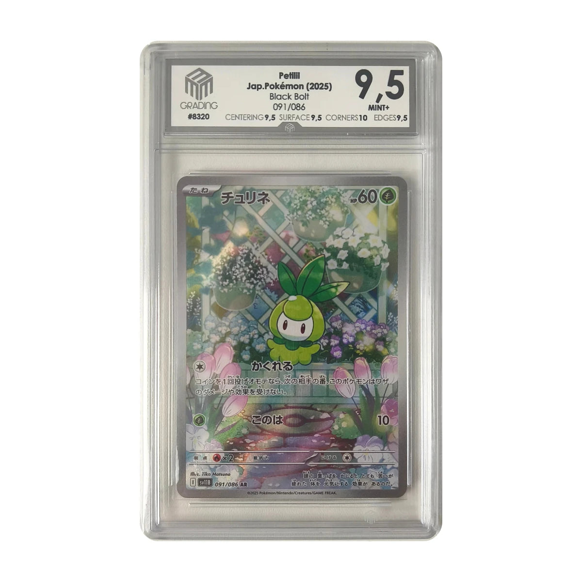 Pokémon - Petilil Art Rare #091/086 (Black Bolt) – M3G 9.5 Mint+